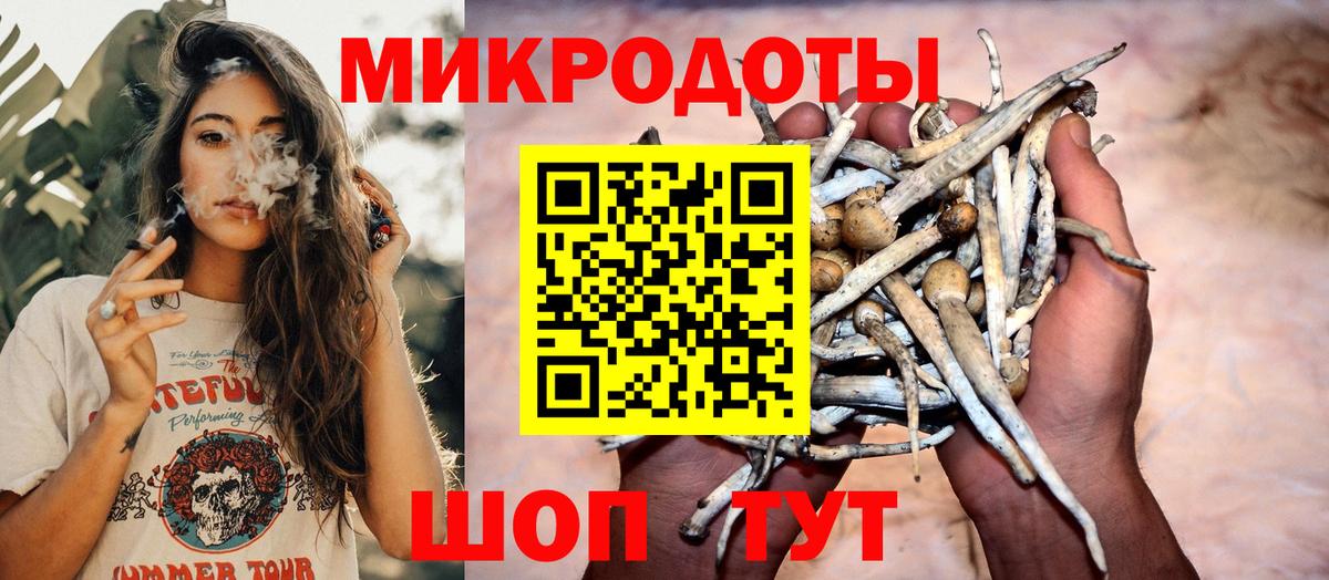 Галлюциногенные грибы Psilocybine cubensis Обнинск