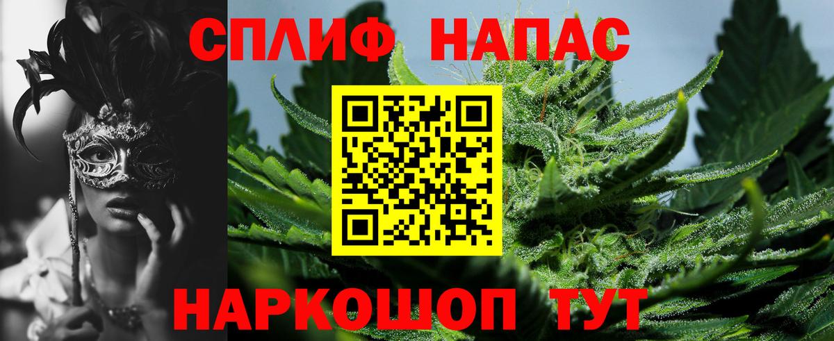 Канабис конопля Обнинск